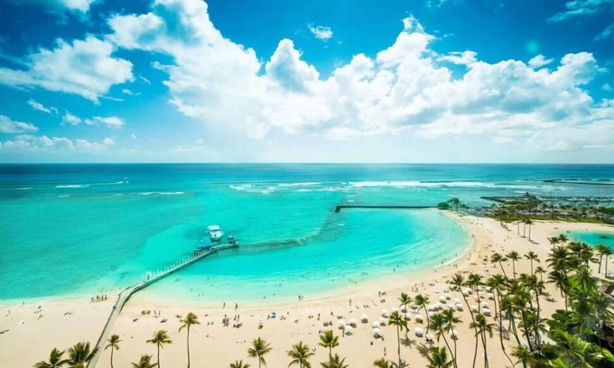 Waikiki Resort | 2 Hilton Grand Vacation Club Hawiaan Village Resort, Beachfront