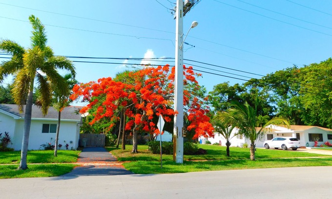 Pompano Beach House | 2 HOMES Side By Side, 8Bedroom,6.5 Bath,14Bed, Huge! Sand Volleyball, Crew, Team