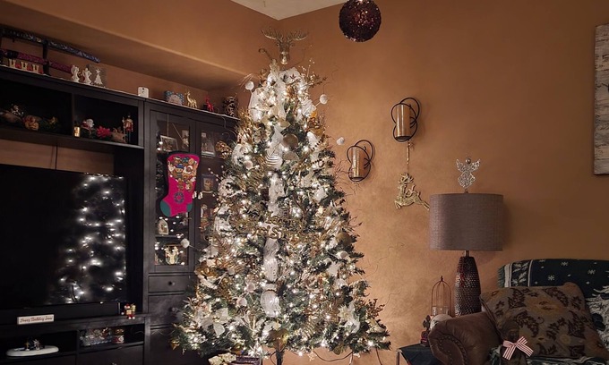 Surprise Farms House | 3 bdrm family home fully decorated Winter Wonderland for Christmas 23