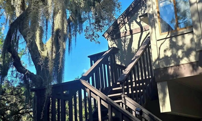 St. Simons Island House | 491 Cedar Walk Sea Palms