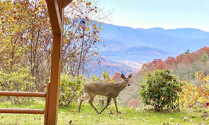 Fairview House | 5 BR Private Estate on 12 acres! Stunning Views! 15 min. to downtown!