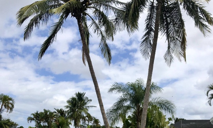 Fort Lauderdale Villa | 65+ 5-Star Reviews! Out of Business. Thanks Broward County :(