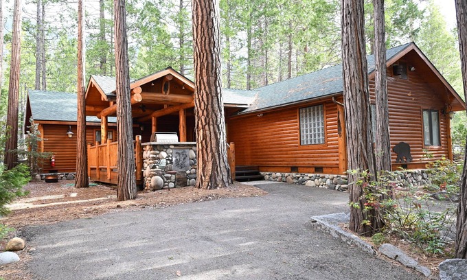 North Wawona Cabin | (66) Grizzly Giant at The Redwoods In Yosemite