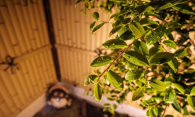 Sakyo Ward House | 8 mins to Gion, Quiet but Central in Kyoto - Botan House