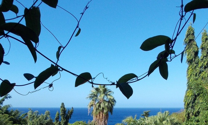 Pointe-Noire House | A charming cottage overlooking the Caribbean Sea and a large tropical garden