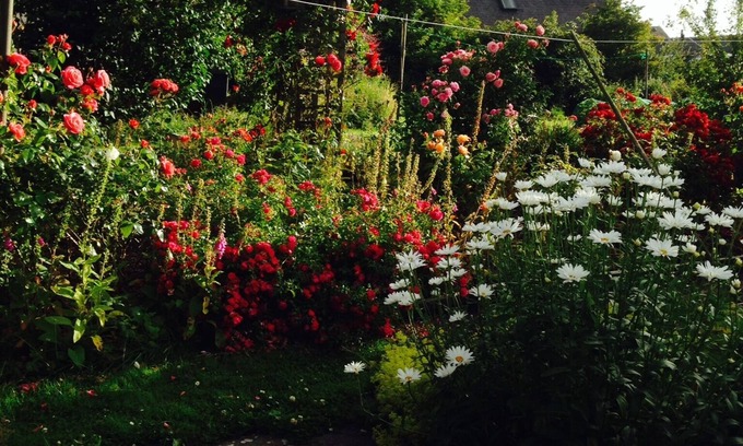 Morebattle Cottage | A cosy holiday cottage in Morebattle, near Kelso.