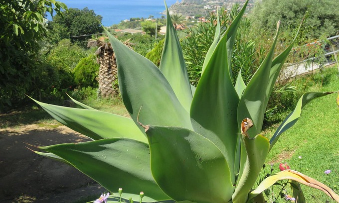 Joppolo House | A house in a quiet, secluded location close to the beach with a superb sea view