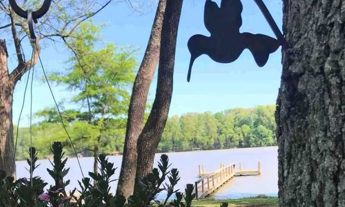 Rogersville Cottage | A River Front Paradise