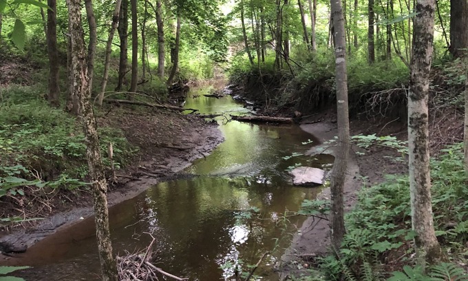 Saratoga Springs House | "A River Runs Through It"—10-acre estate, European luxury minutes from downtown