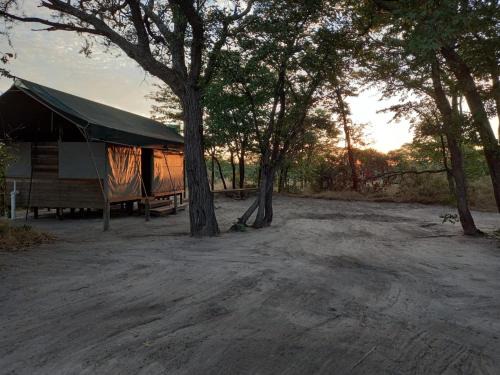 Maun Other | Acacia Camping