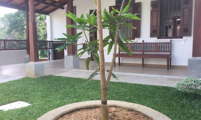Galle House | Accommodation for Foriegn Elective Medical students at Karapitiya ,Galle Sri Lan