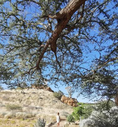 Usakos Other | Achab Camping Camp site