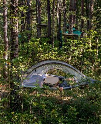 Castellane Other | Adventure Forest