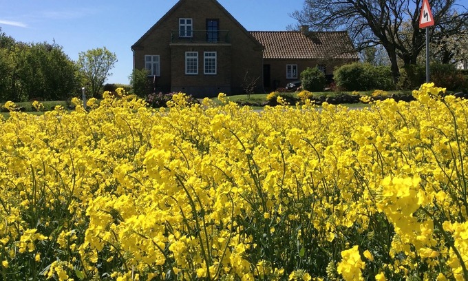 Aeroskobing House | Adventurous view of the Funen archipelago and the Baltic Sea