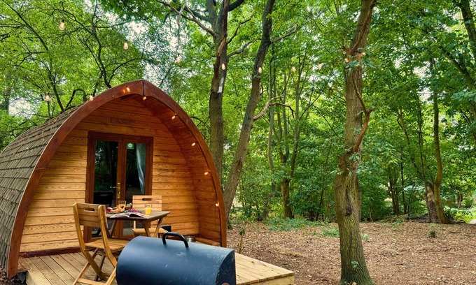 West Stow Cabin | Aelfred Pod - in a calm woodland setting- ready for glamping?