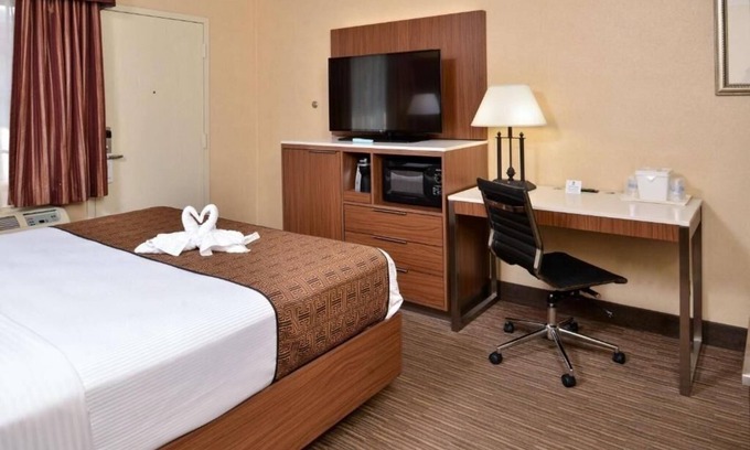 Hollywood Hotel | Affordable & Relaxing Stay Minutes from Iconic Hollywood Spots