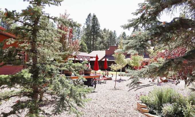 Pinetop Condo | Affordable 1BR Lodge Room in Pinehill, AZ – Ideal for Outdoor Adventurers