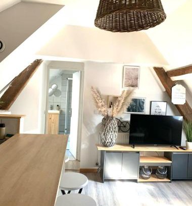 Vierzon Apartment | Agréable logement en ville a Vierzon