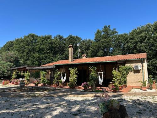 Sorano House | Agriturismo Antiglia