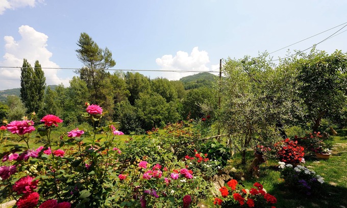 Casenuove Other | Agriturismo Casa Brunori