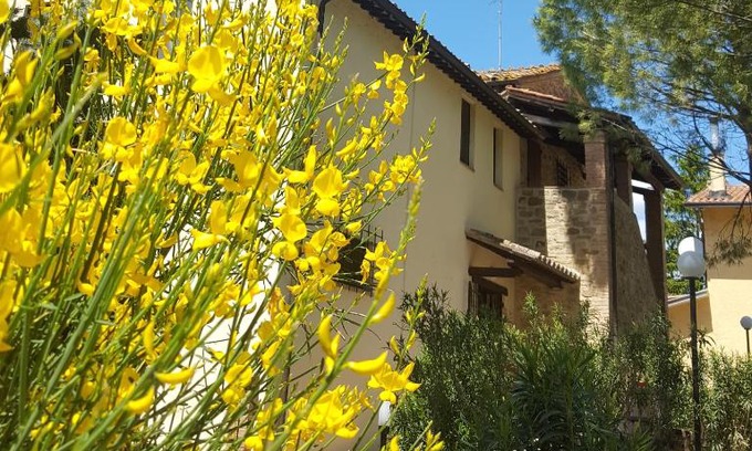 Civitella D'Arno House | Agriturismo La Ginestrella