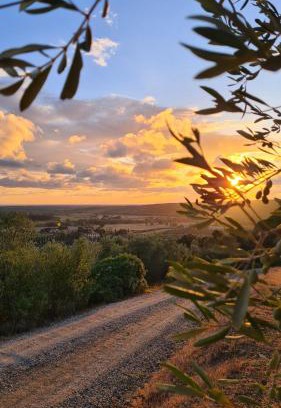 Riparbella House | Agriturismo Le Serre