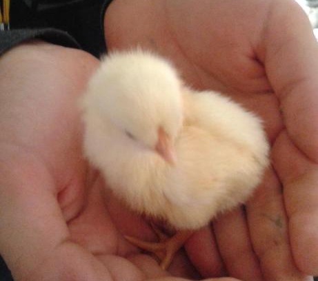 Saturnia House | Agriturismo Le Stiacce