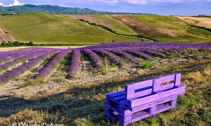Pieve di Santa Luce Other | Agriturismo Mandriato by Toscana Family Holidays