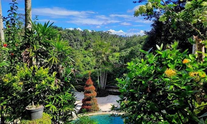 Nyuh Kuning Hotel | Alam Indah Ubud