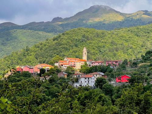 Ossegna Hotel | Albergo Belvedere