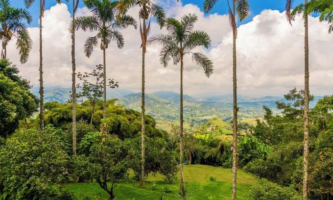 Manizales Villa | Aldea Sabatinga