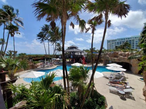 Mid Beach Apartment | Alexander14192