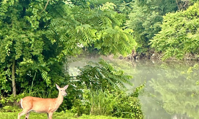 Grafton House | Almost Heaven At The River: Riverfront Family Fun, Work Week, or Golf Retreat!