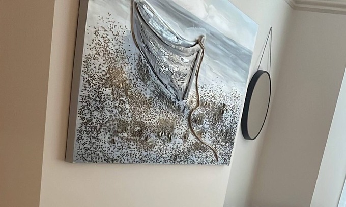 Montpelier Apartment | Amazing home from home Apartment