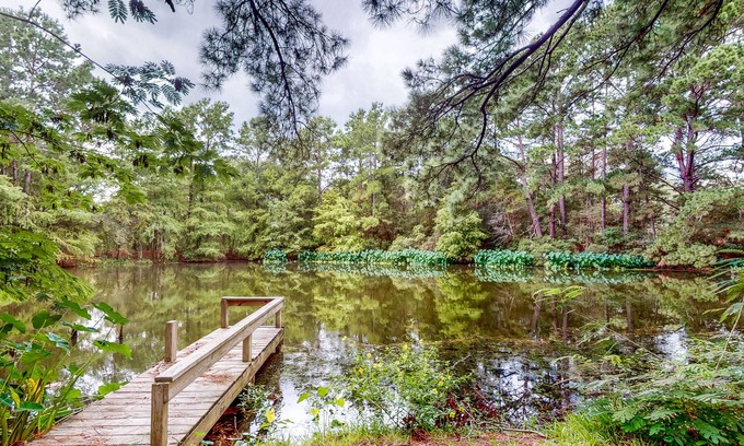 Bellville House | Amazing Home & Guest House on 14 Acres - Vineyards, Pond & Trails