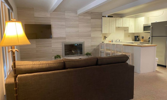 Aspen Apartment | Amazing setting - 2 blocks to Aspen Gondola, 1 BR, Amazing Core location - 1 BR