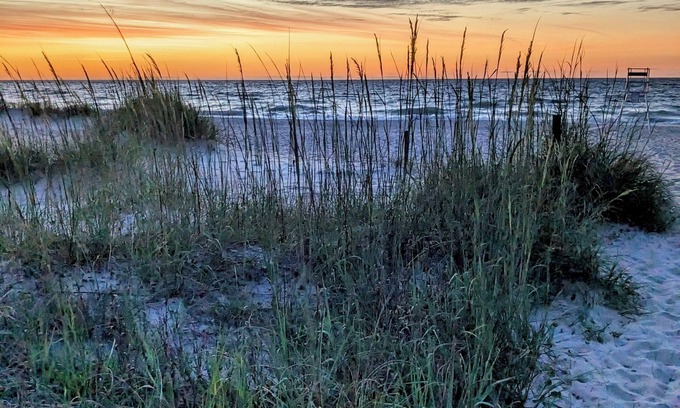 Fernandina Beach Condo | Amelia Island Vacation Rental Quiet 2BR Walk to Beach Pet-Friendly Tennis
