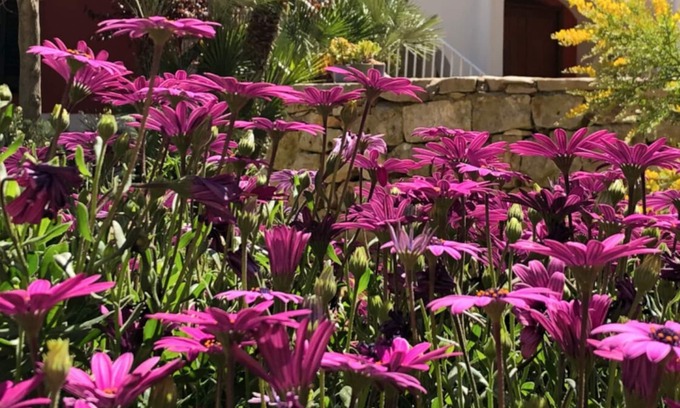 Monopoli Villa | ancient charm wonderful period villa surrounded by the green hills of M