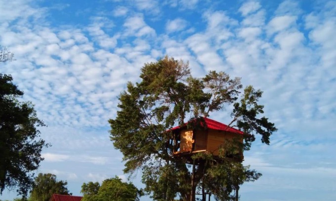 Yodakandiya Resort | ANIMAL POINT YALA RESORT