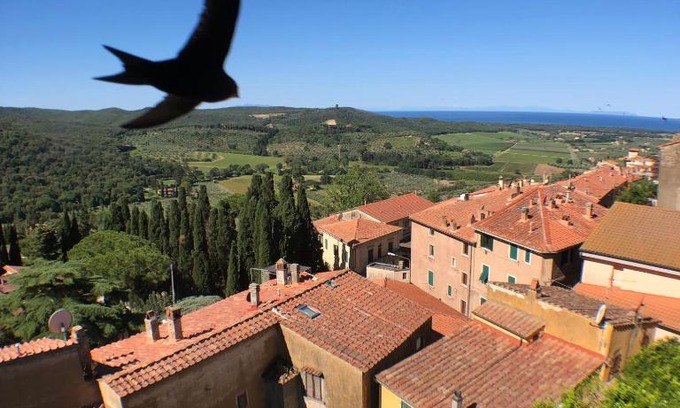 Castagneto Carducci Bed & Breakfast | Anitta GuestHouse