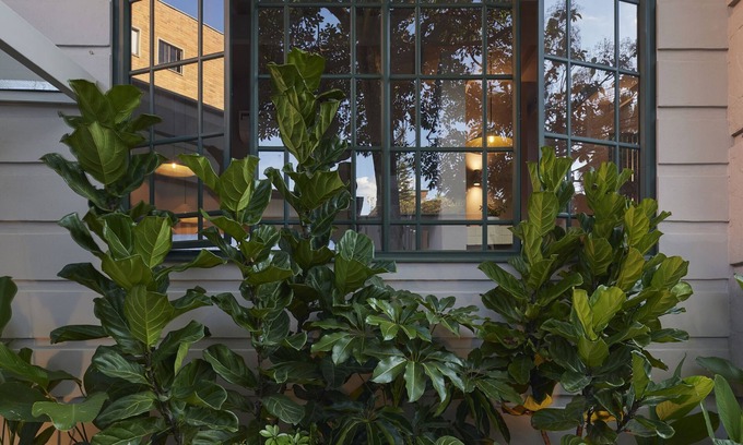 Patio Bonito Hotel | ANTÍPODA HOTEL