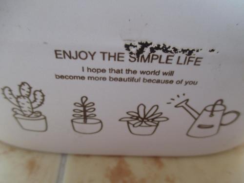 Coimbra Apartment | António Augusto Apartment