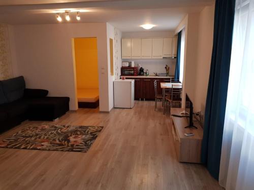 Tirgu Mures Apartment | Apartament 1 Central