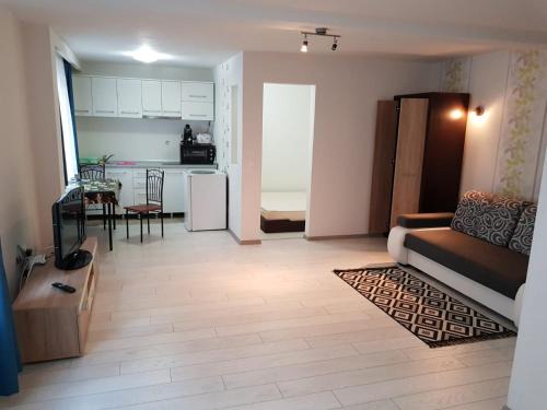 Tirgu Mures Apartment | Apartament 2 Central