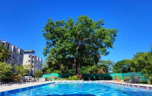 Melgar Apartment | Apartamento Melgar - Altagracia