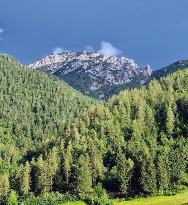 San Colombano Apartment | Apartamento Pino Verde in San Colombano VT Vista, Natura, Wifi