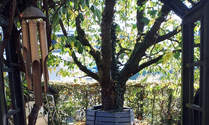 Muschede Apartment | Apartment, 78sqm, 3 bedrooms, max. 4 people