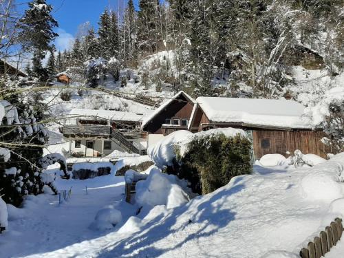 Feld am See Apartment | Apartment Feld am See near Ski Slopes
