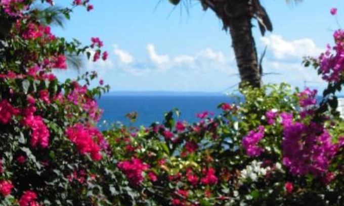 Anse des Rochers Apartment | Apartment/flat - SAINT FRANCOIS