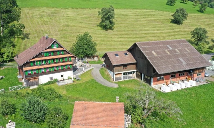 Oberaegeri Other | Apartment "Henggeler" with lake and mountain view